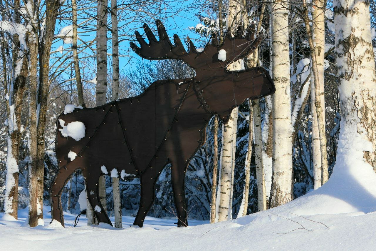 Фото Дом у пруда