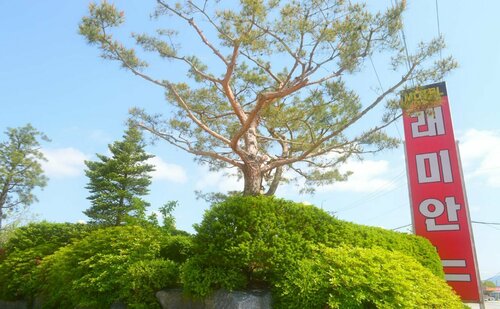 Гостиница Raemian в Чхунчхон-Пукто