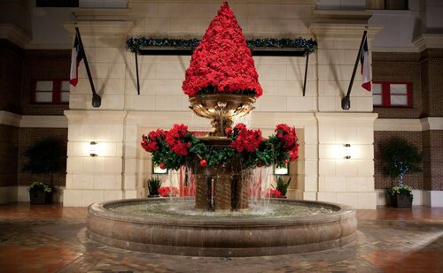 Гостиница Gaylord Texan Resort & Convention Center в Грейпвайне