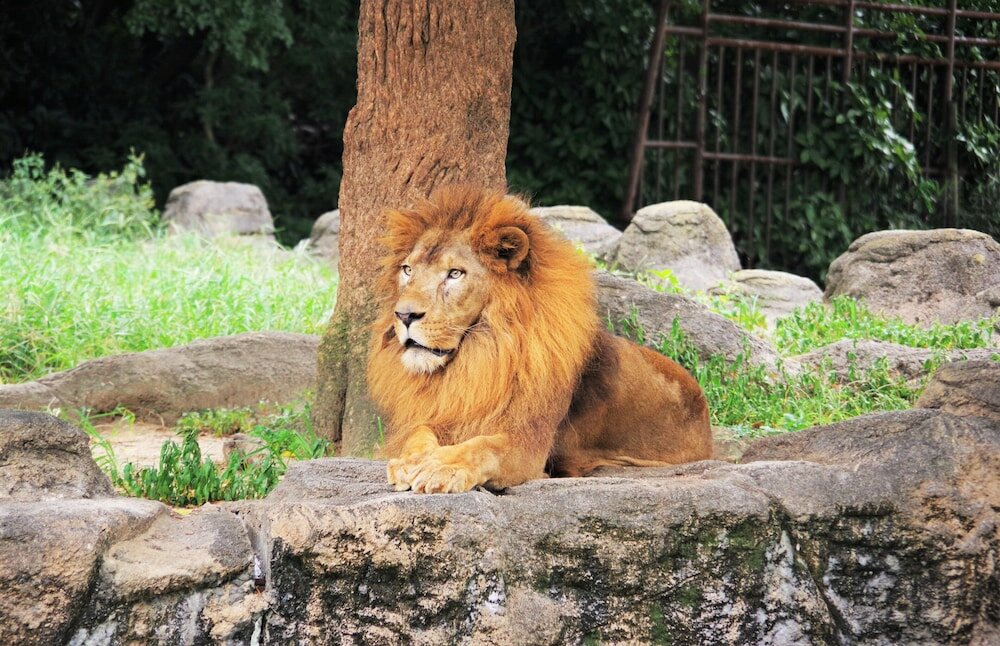 Фото Ref Matsuyama City Station by Vessel Hotels