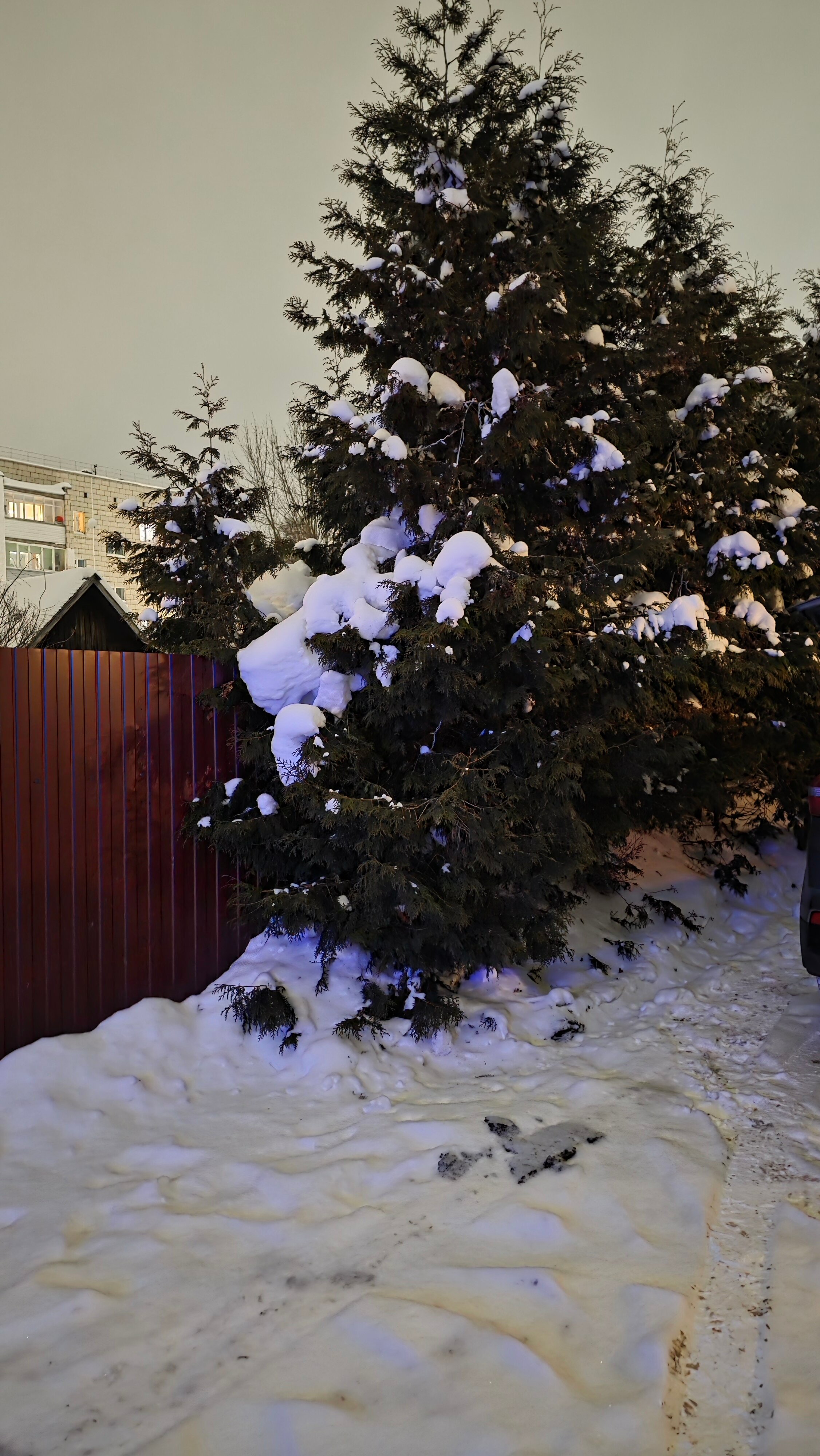 Фото Белая Лошадь