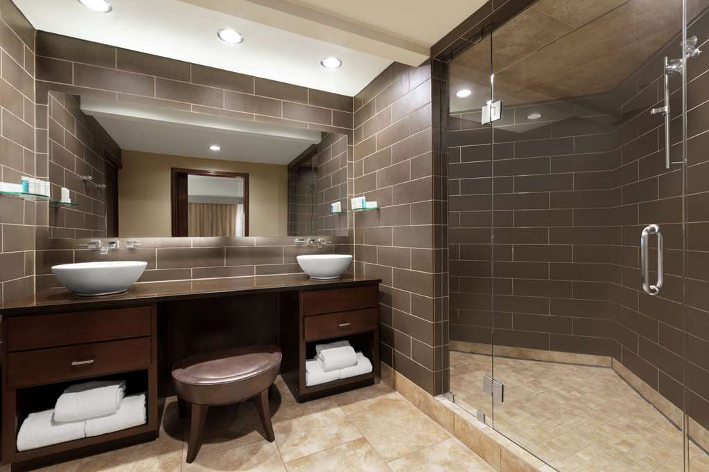 Фото Embassy Suites by Hilton Dallas Dfw Airport North