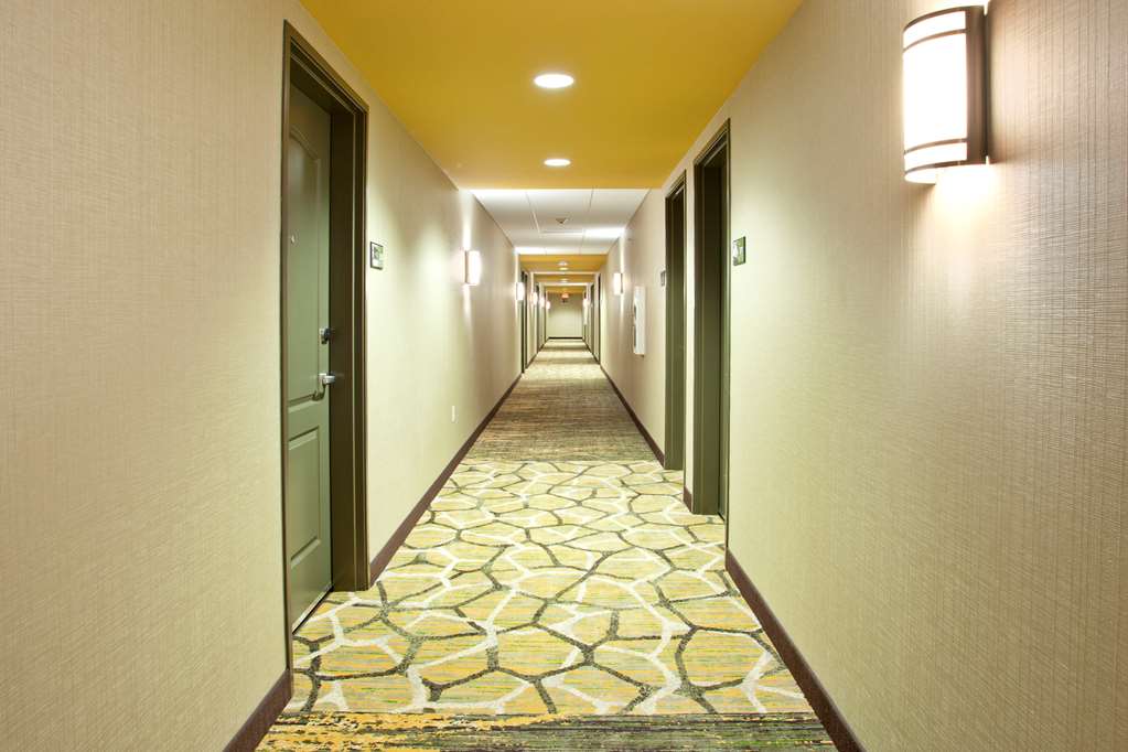 Фото Hampton Inn & Suites Minneapolis Downtown