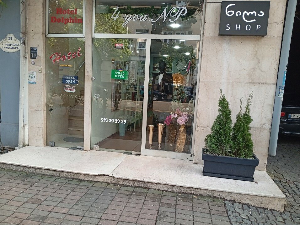 Фото Дельфин