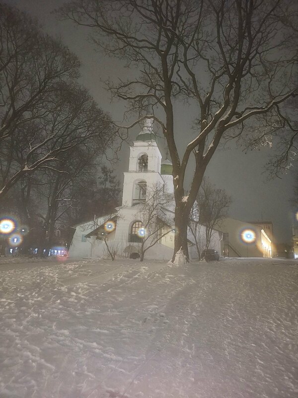 Усадьба Журавлёвых — фото 15