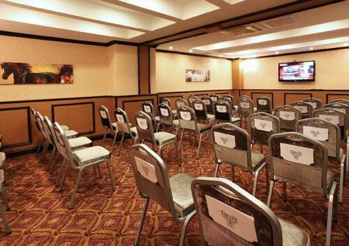 Гостиница Arya Hotel в Адапазары
