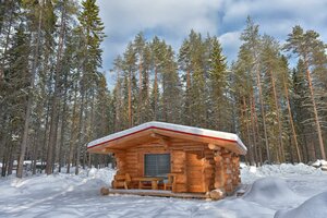 Медвежка в Карелии