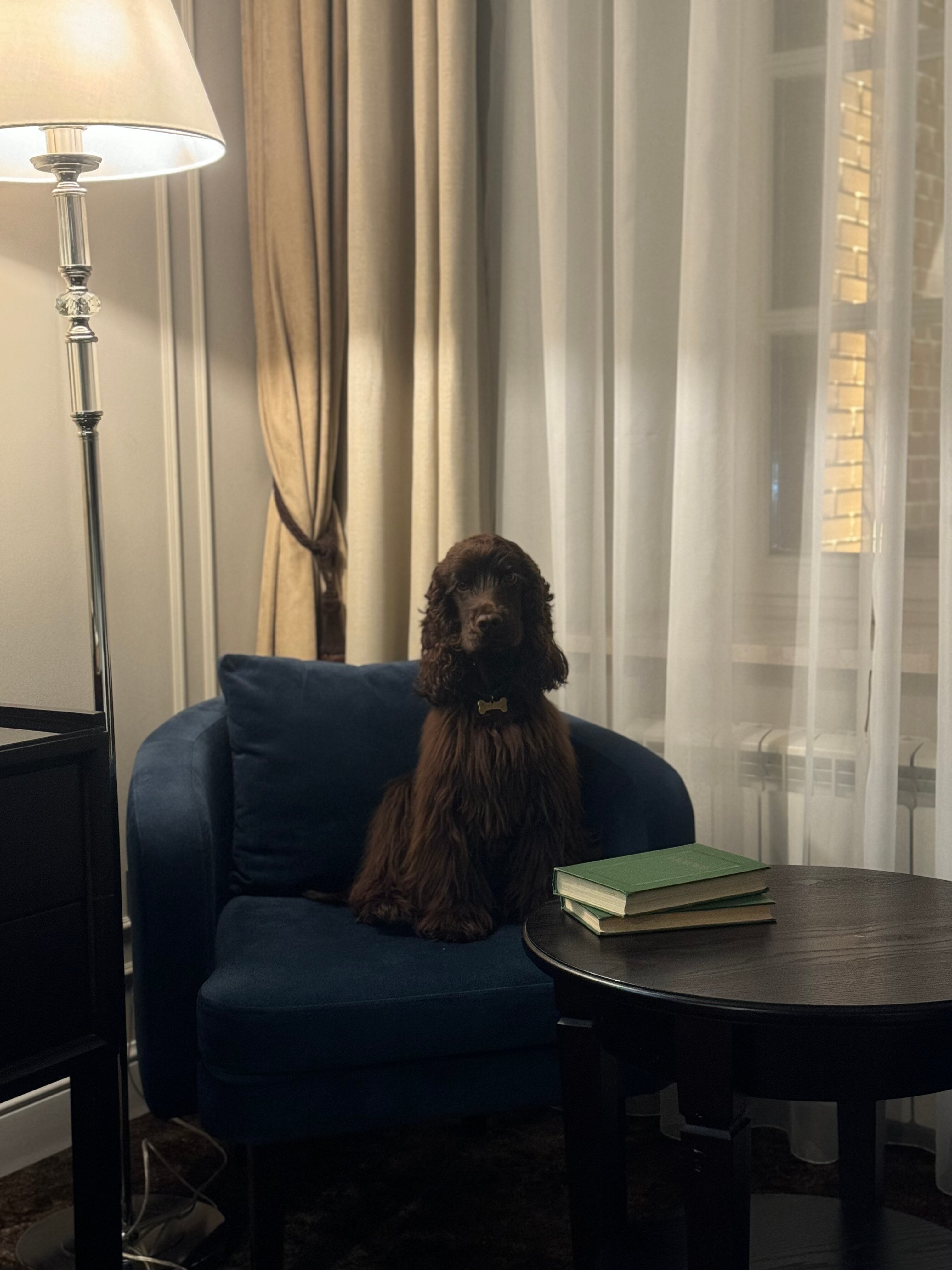 Фото Пестриков