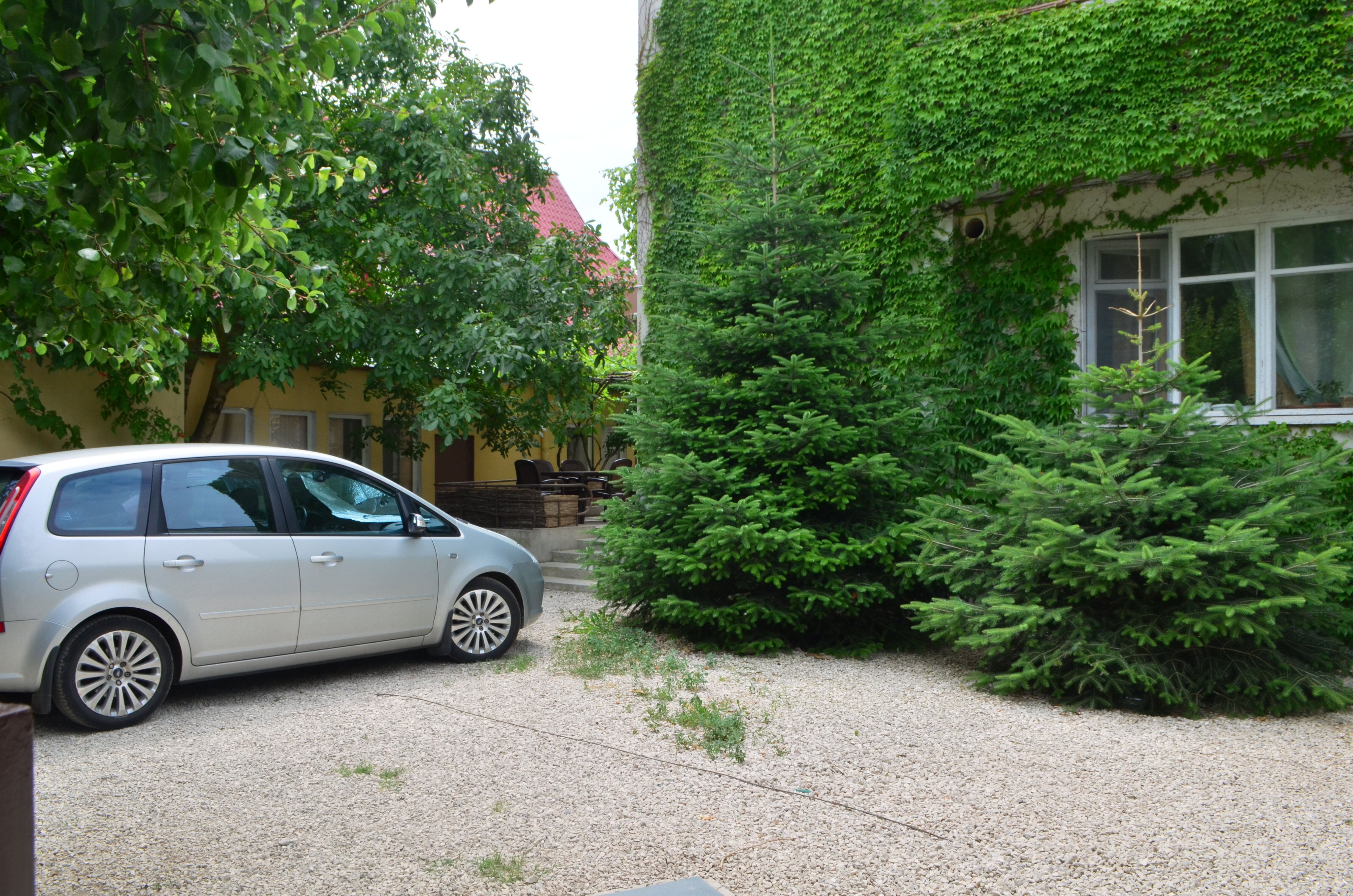 Фото Летний