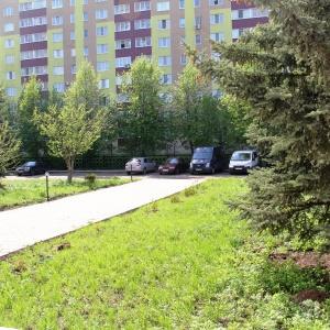 Фото Фаворит