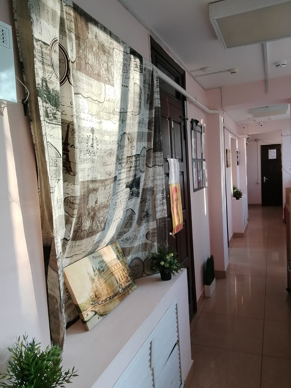 Фото Клевер