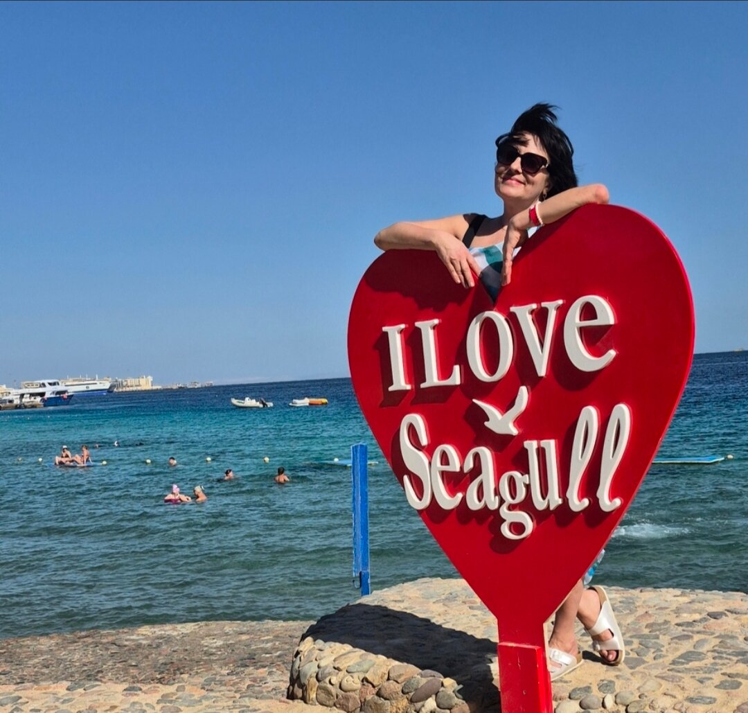 Фото Seagull Beach Resort