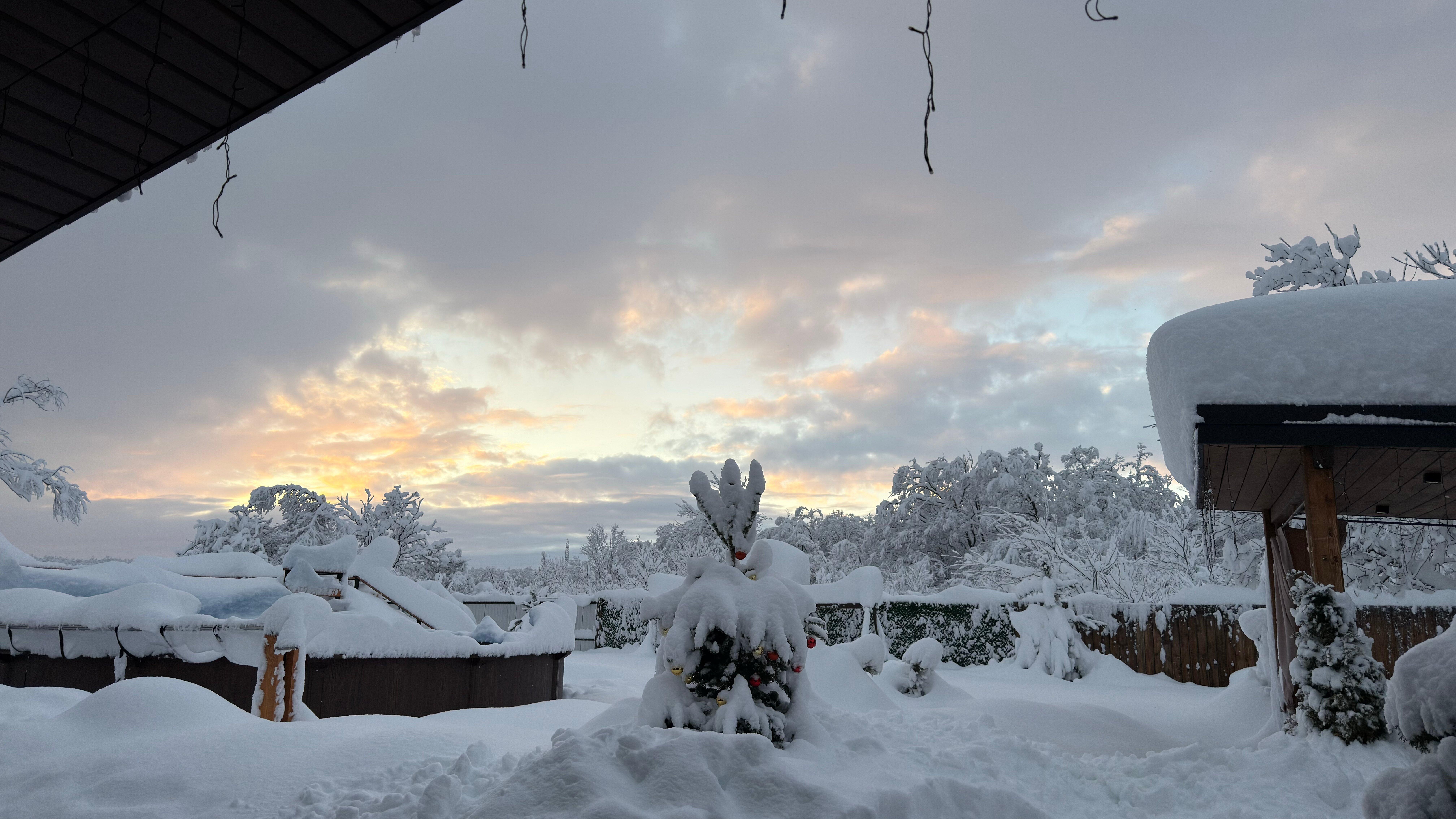 Фото Лесное Подворье