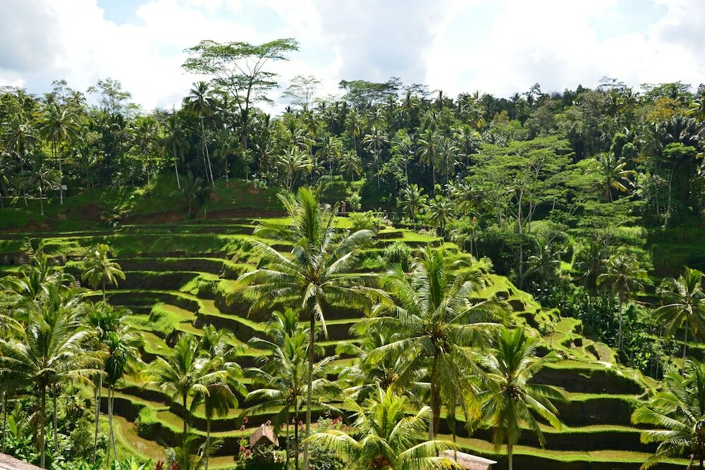 Фото Viceroy Bali