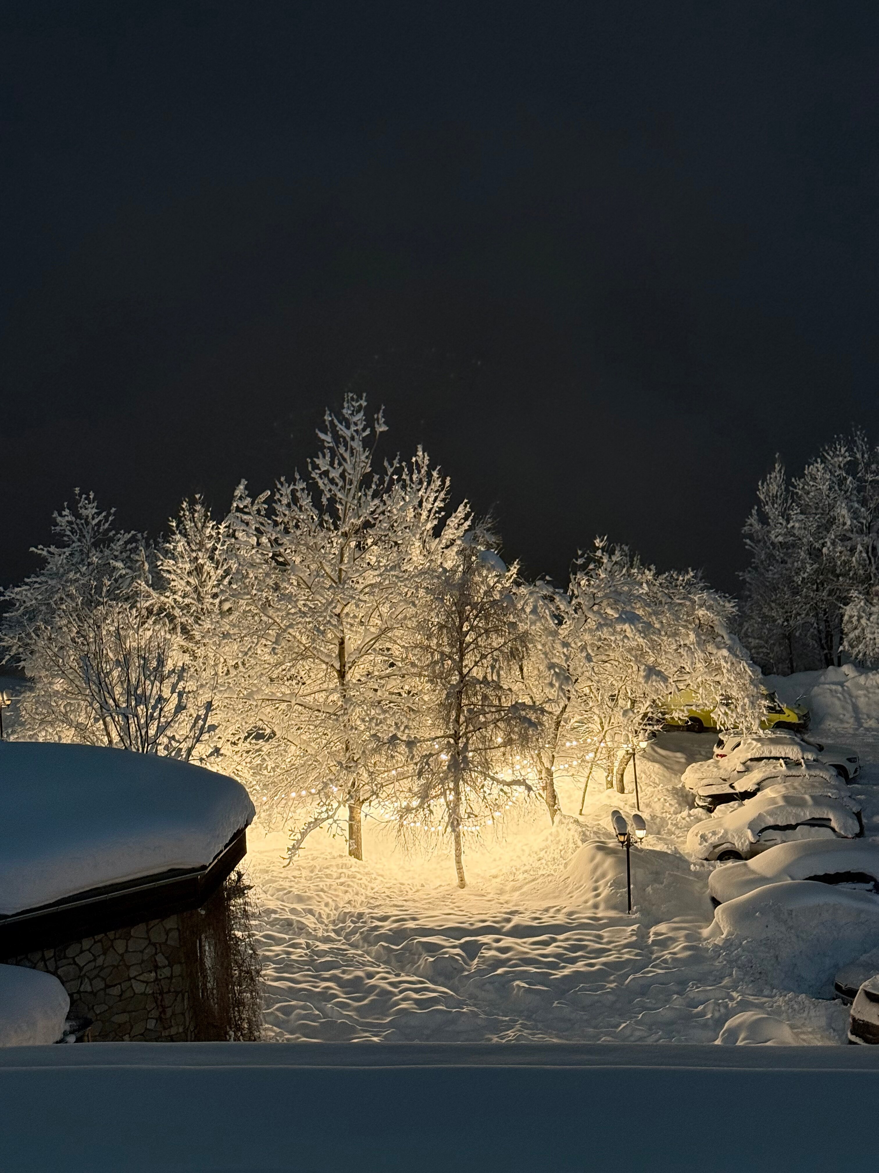Фото Marco Polo Hotel Gudauri
