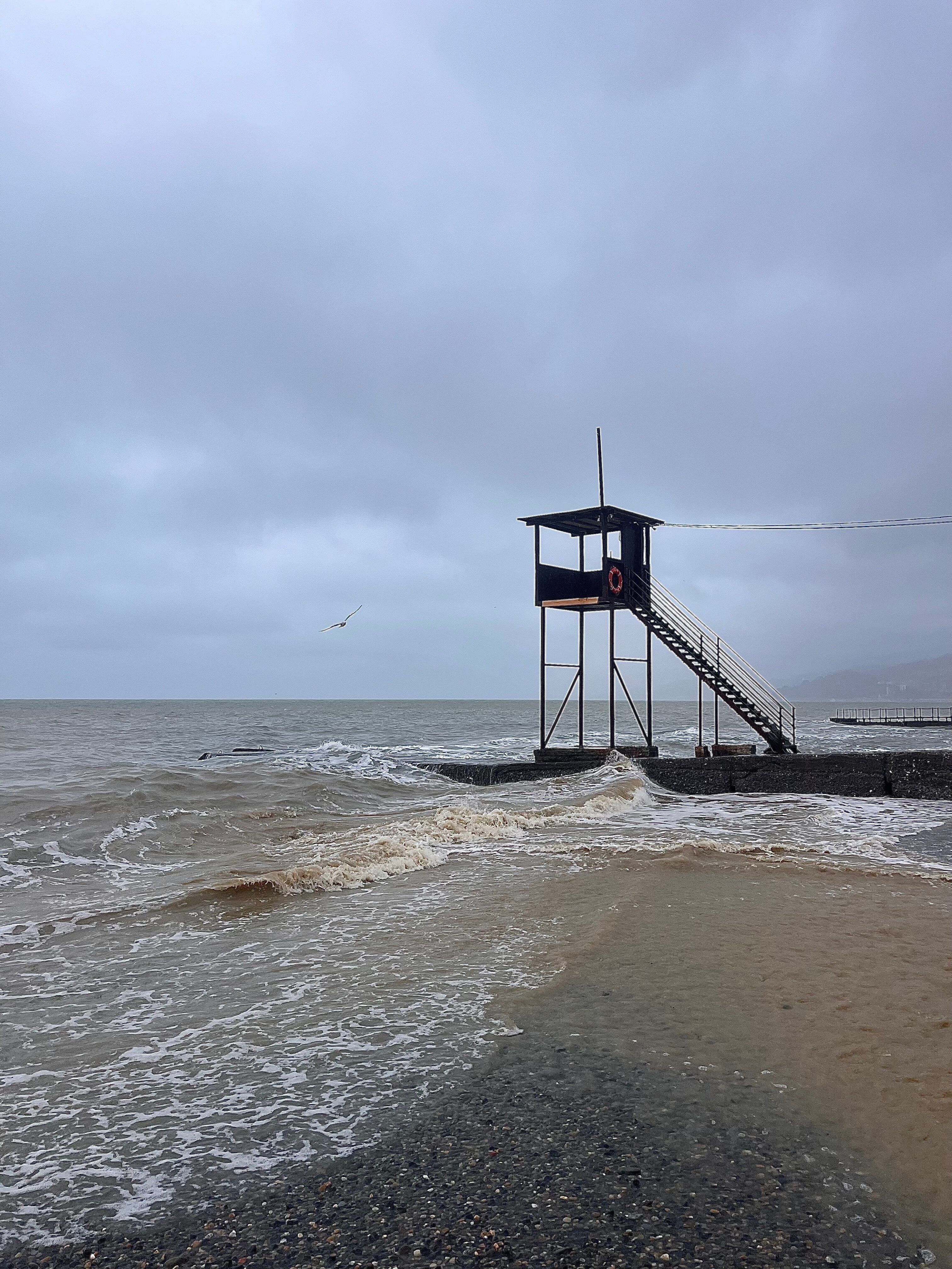 Фото Экодом Адлер