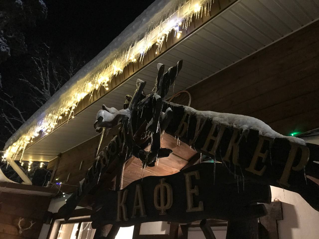 Фото Лесной бункер