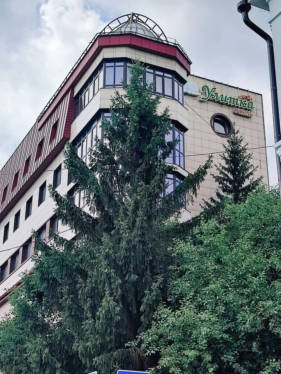 Фото Улитка