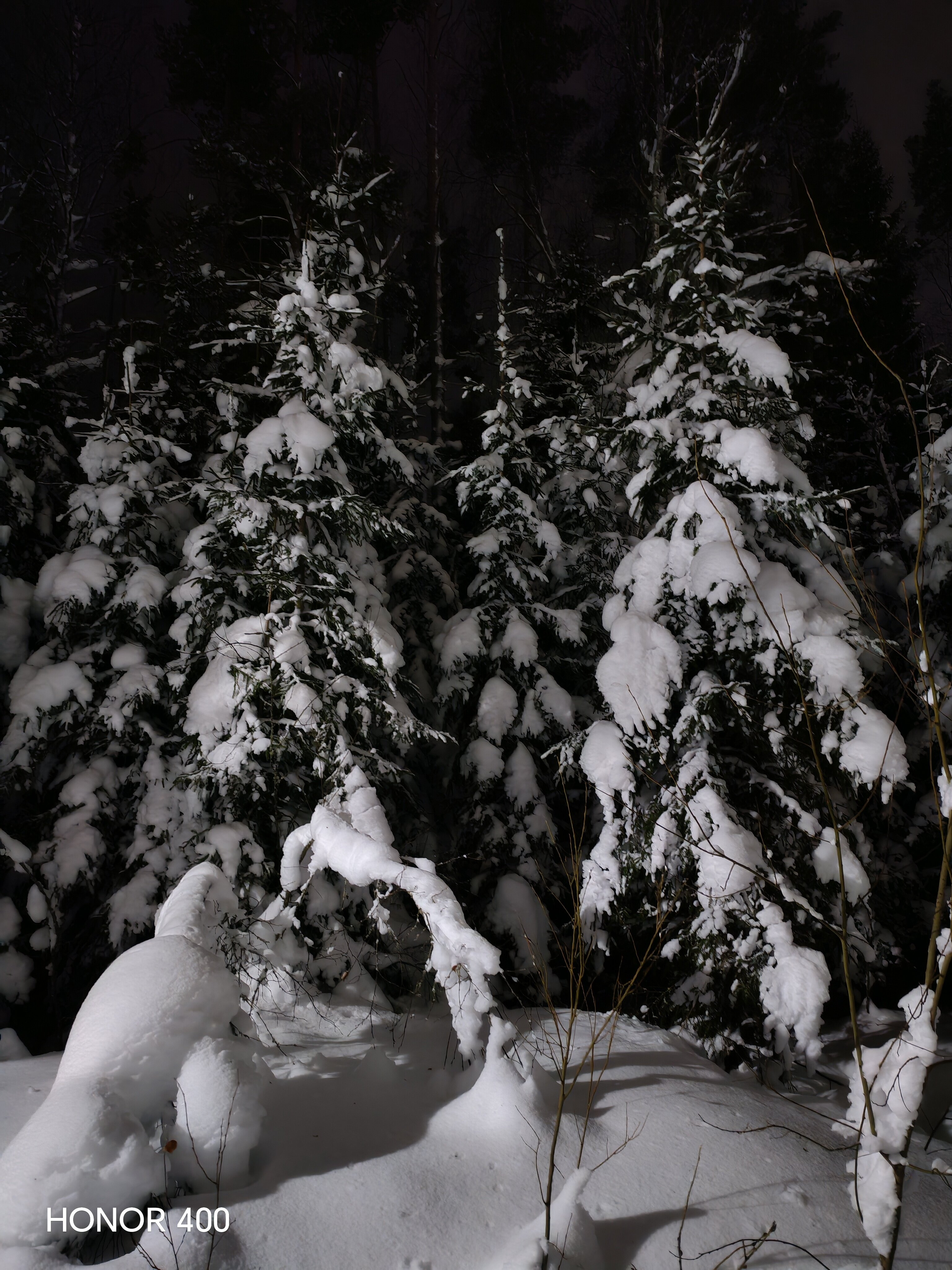 Фото Горки47