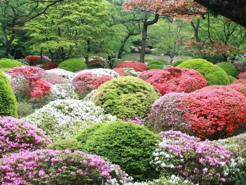 Внешний вид отеля Hakone Kowakien Miyamafurin в Хаконе, фото 3