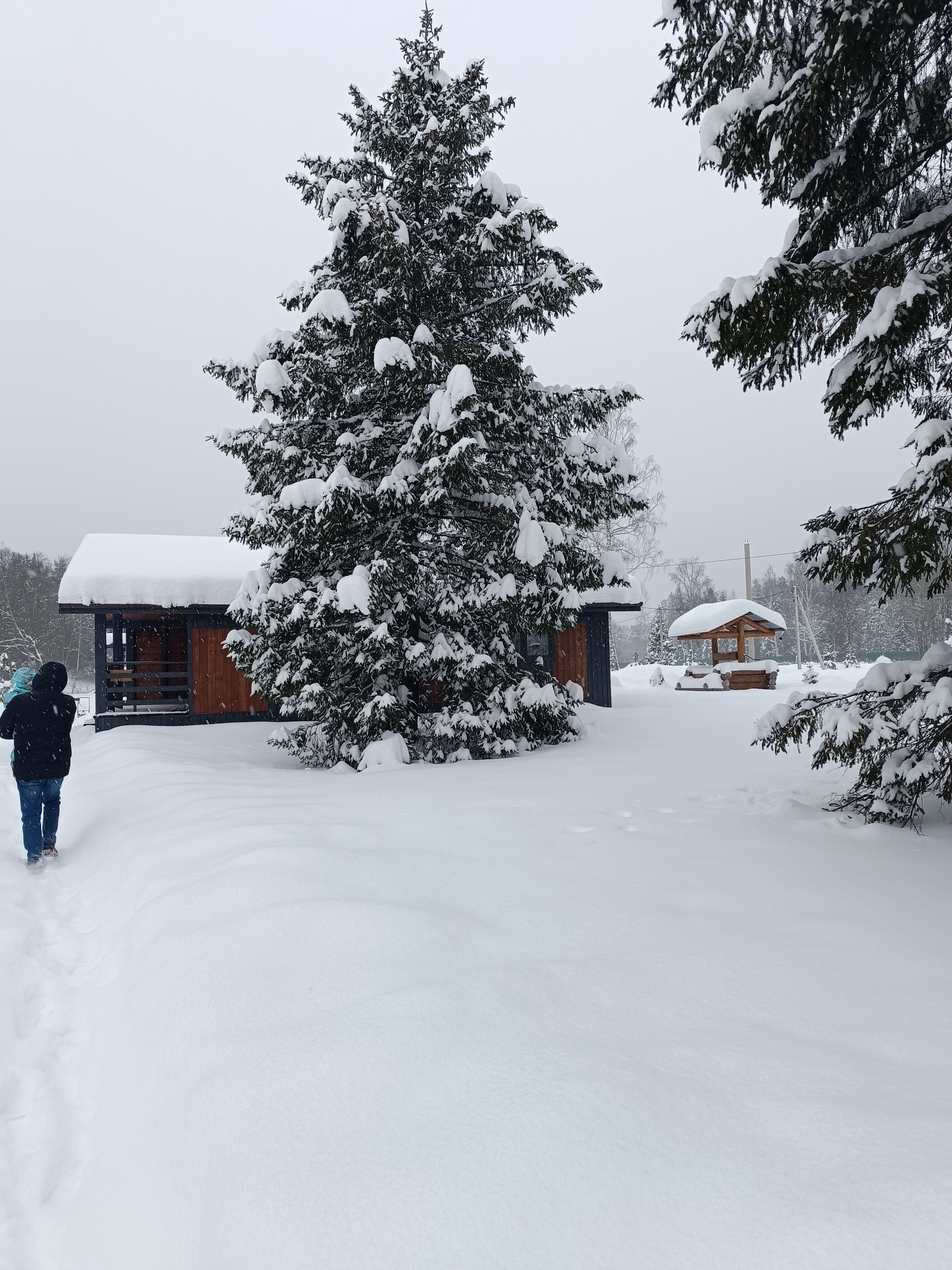 Фото Агроусадьба Мечта