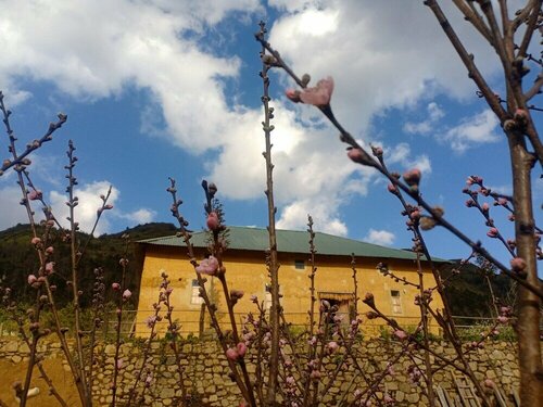 Гостиница Homestay Discover Y Ty в Чакрас де Кории