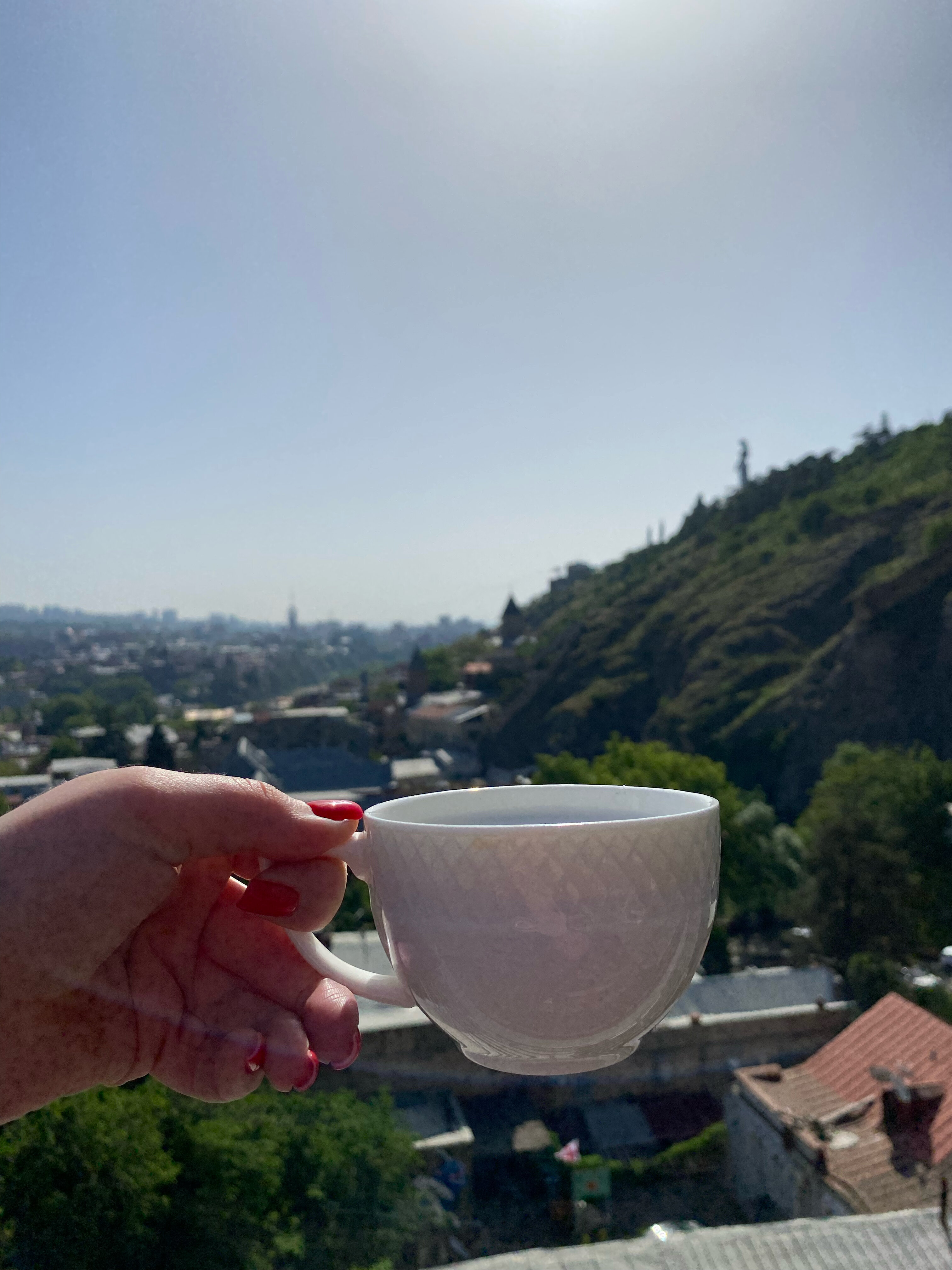 Фото Hotel Flower