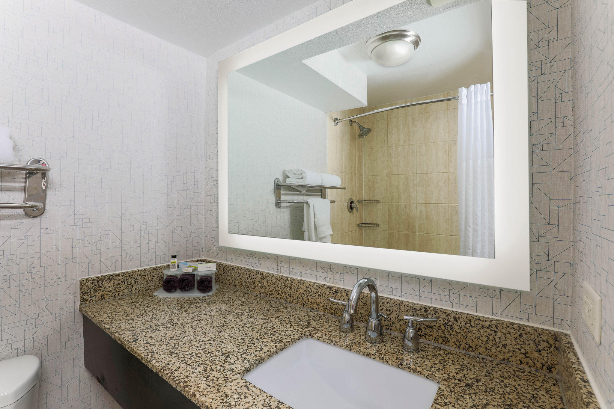 Фото Holiday Inn Express Hotel & Suites Fort Worth Downtown, an Ihg Hotel
