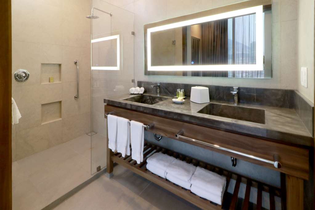 Фото Hilton Garden Inn Monterrey Obispado