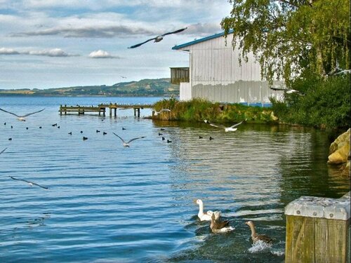 Гостиница Novotel Rotorua Lakeside в Роторуа