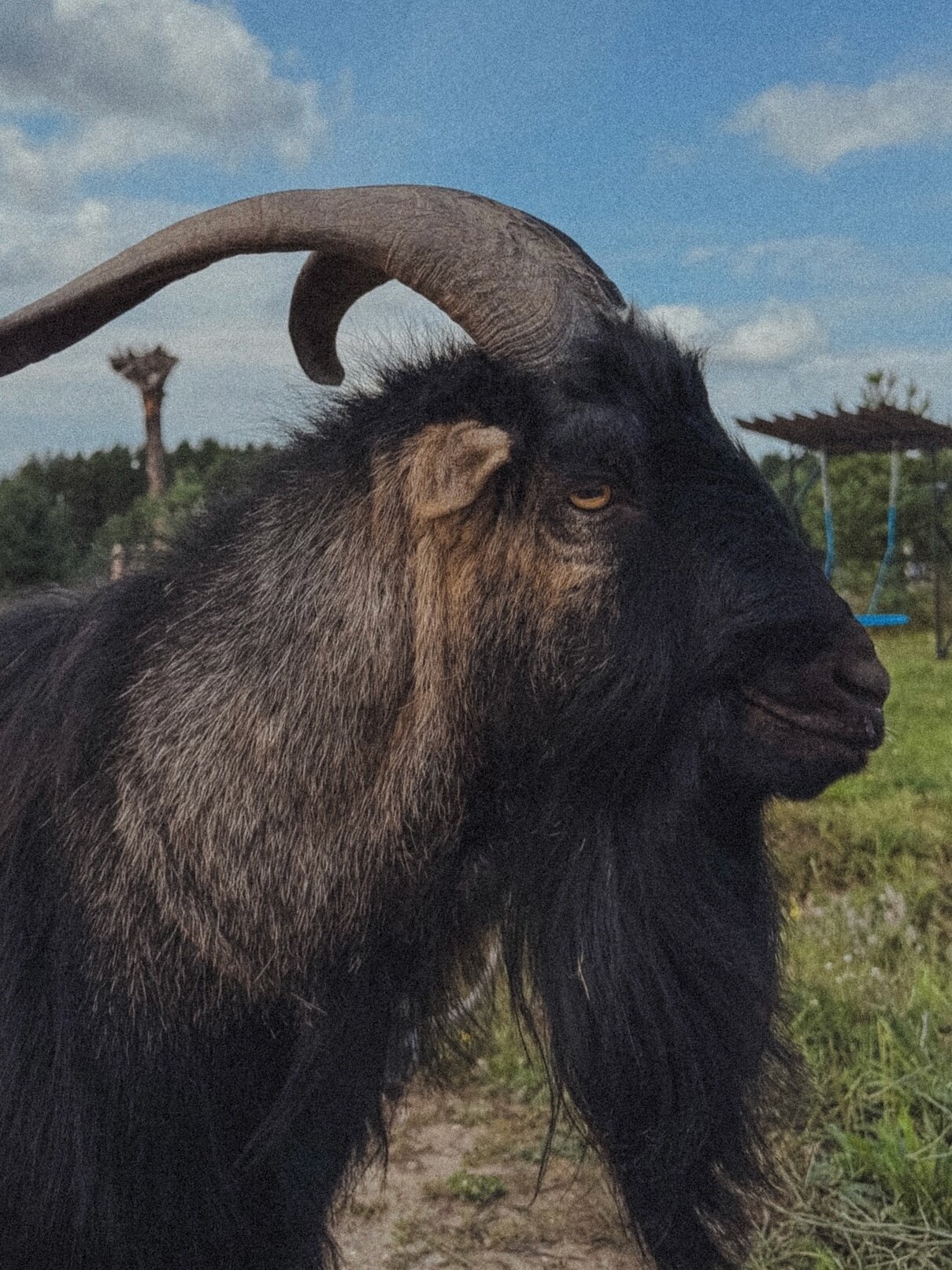 Фото Тайны Юронги