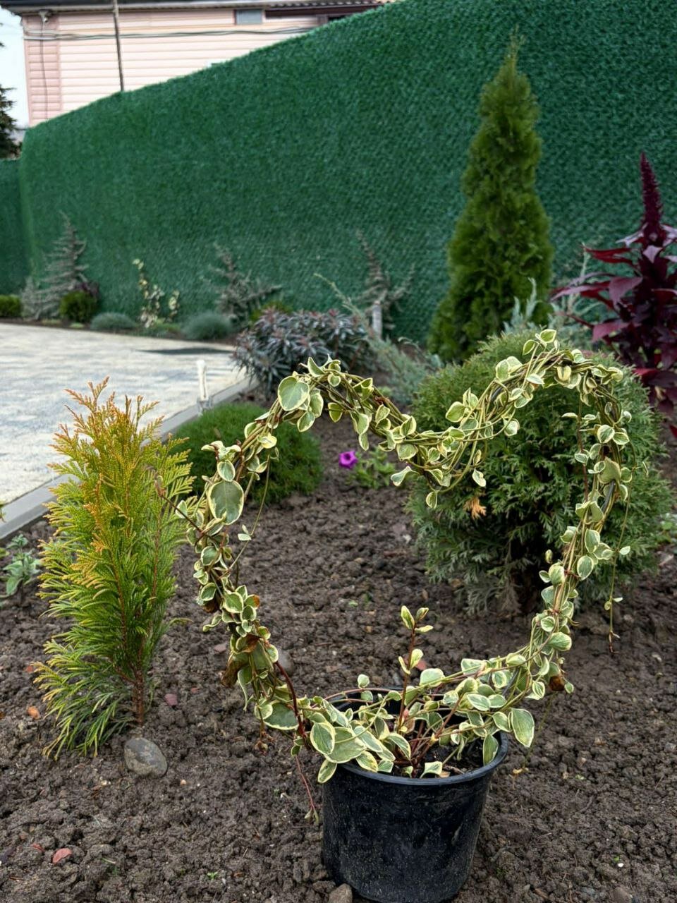 Фото Предгорье