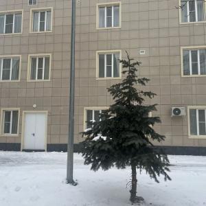 Фото Динамо