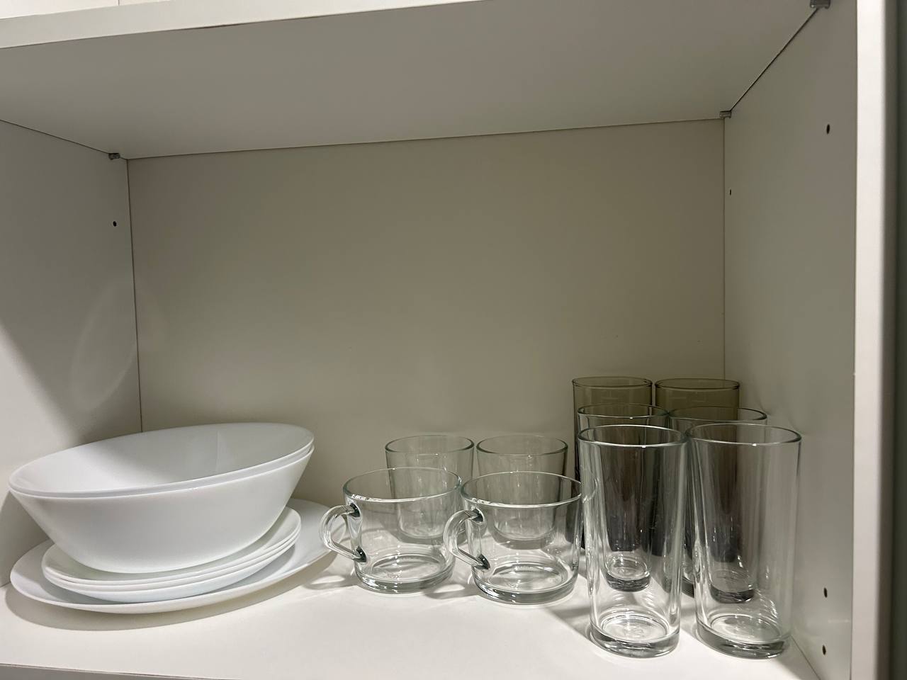 Фото Чемпион