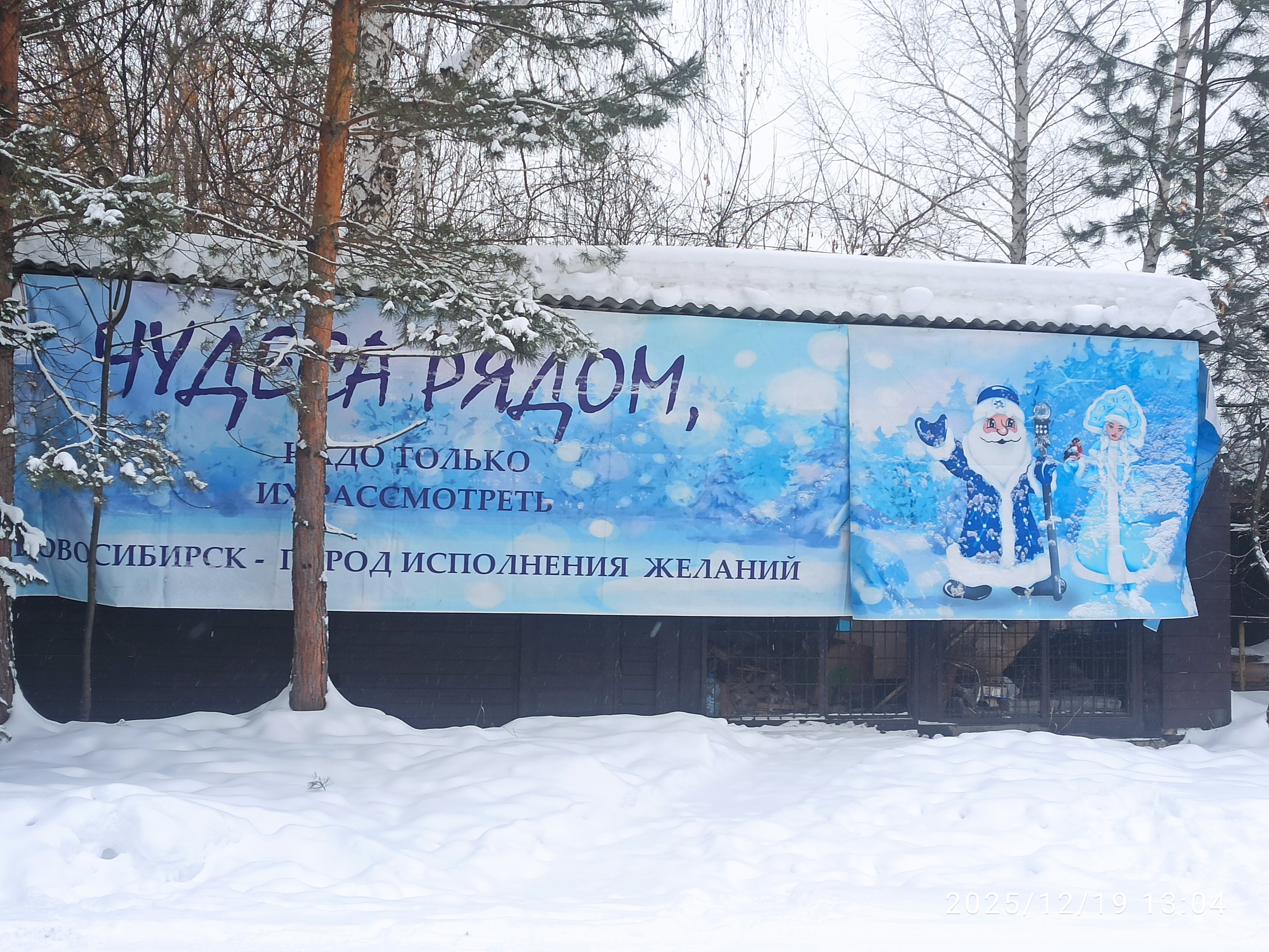 Фото Парк-отель Шишка