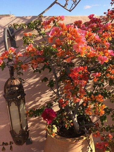 Гостиница Riad Irene в Марракеше