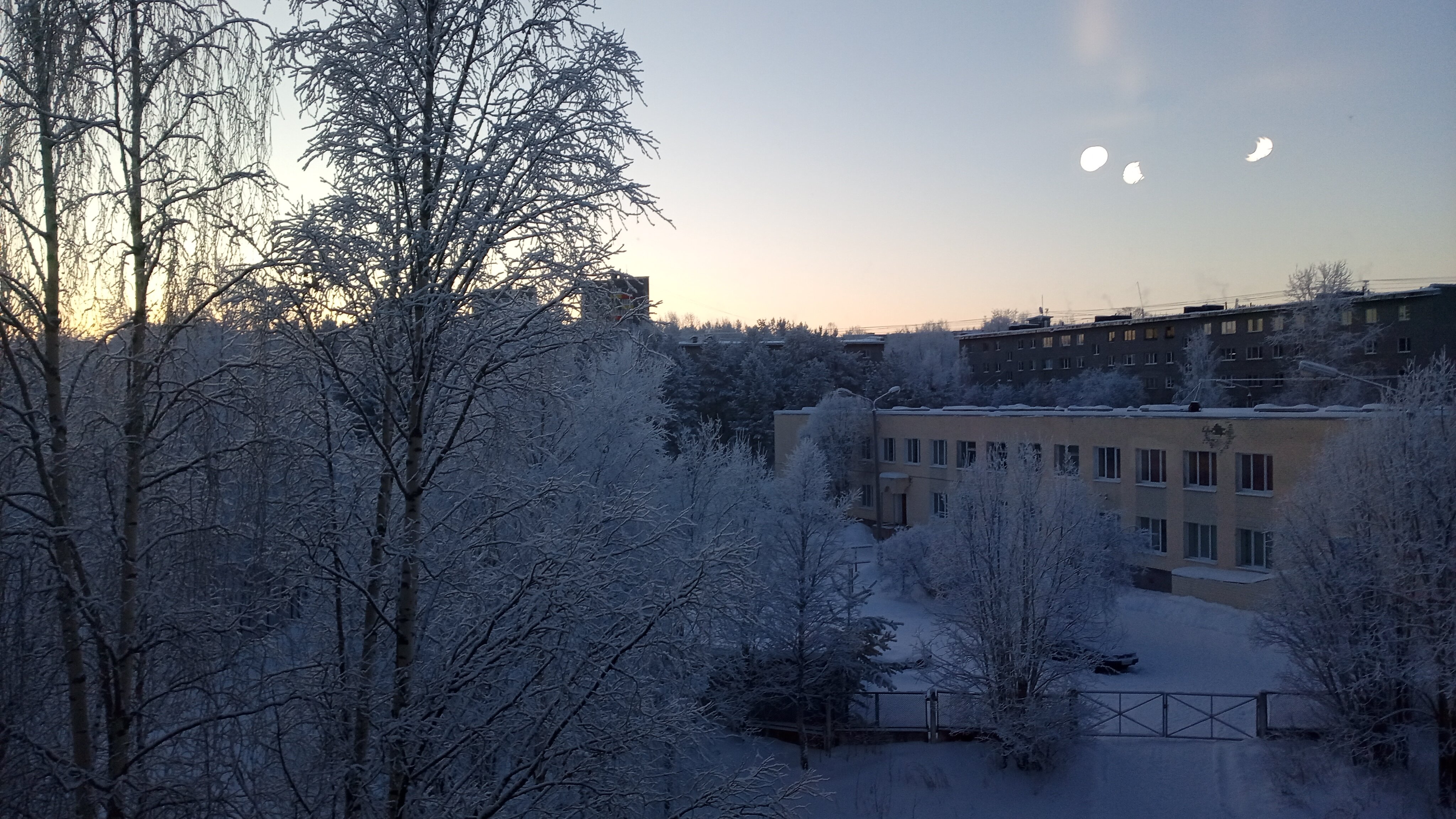 Фото Брусника