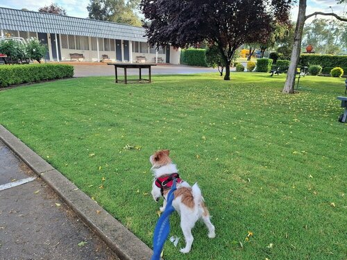 Гостиница City Park Motel в Уогга-Уогга
