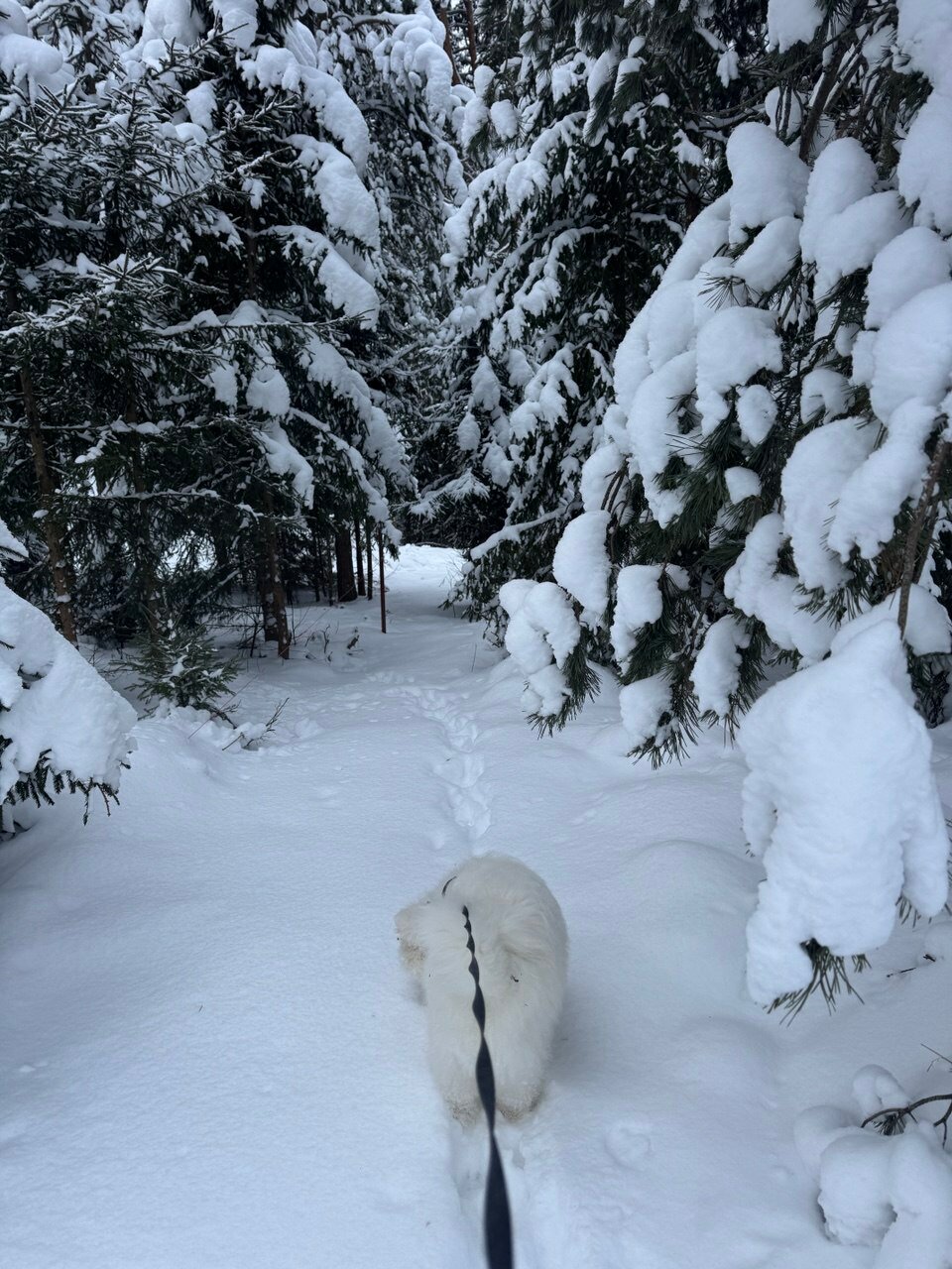 Фото Лаундж Усадьба
