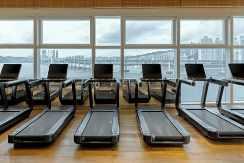 Гостиница Park Hyatt Busan в Пусане