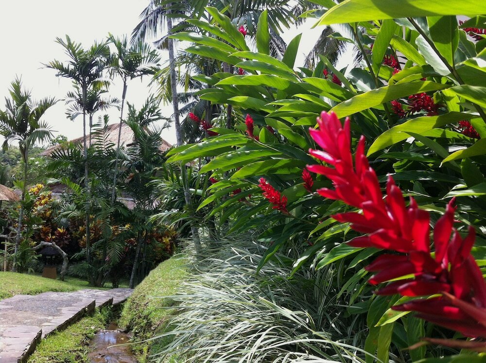 Фото Villa Semana Resort & SPA