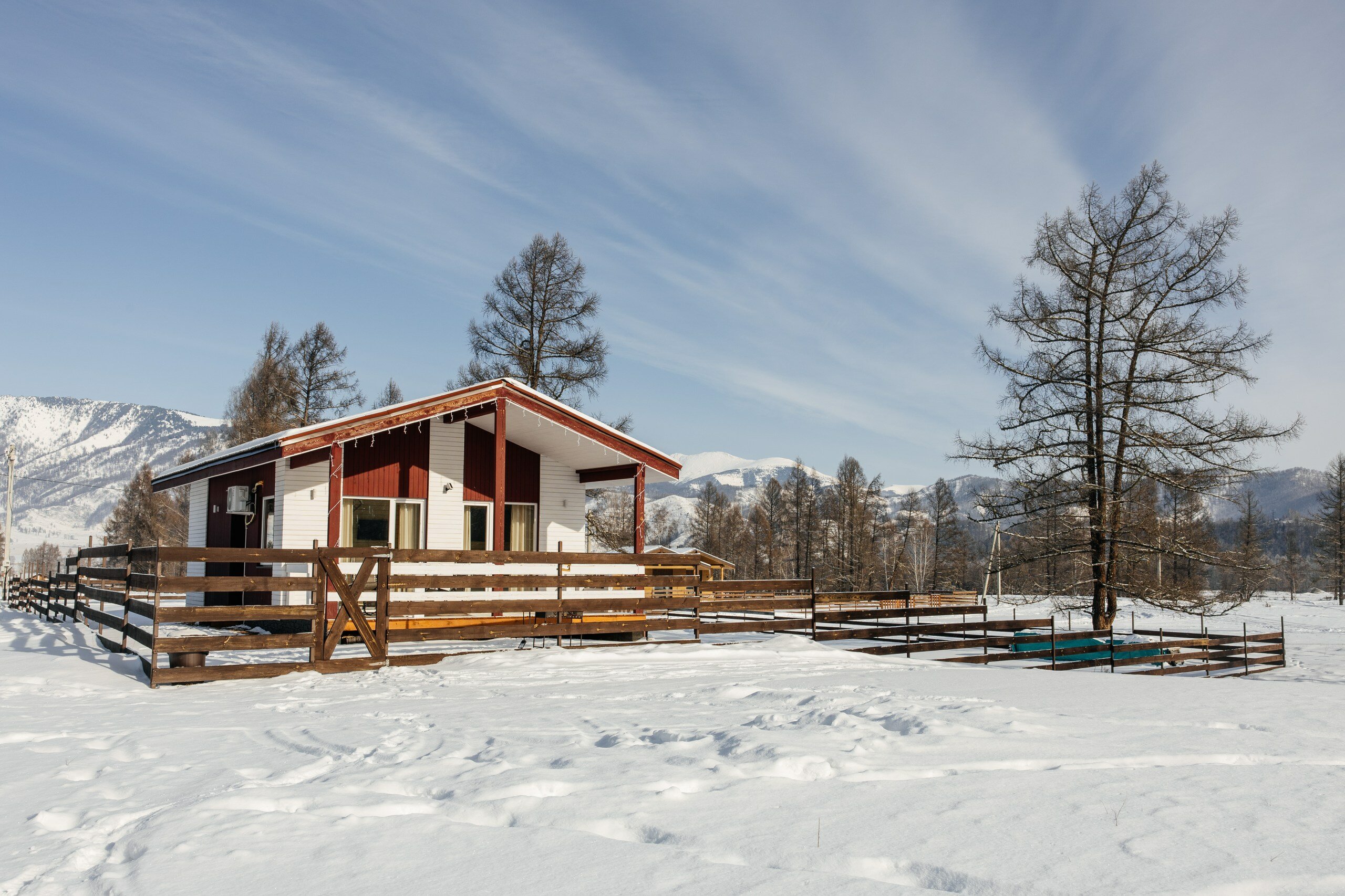 Фото Аврора