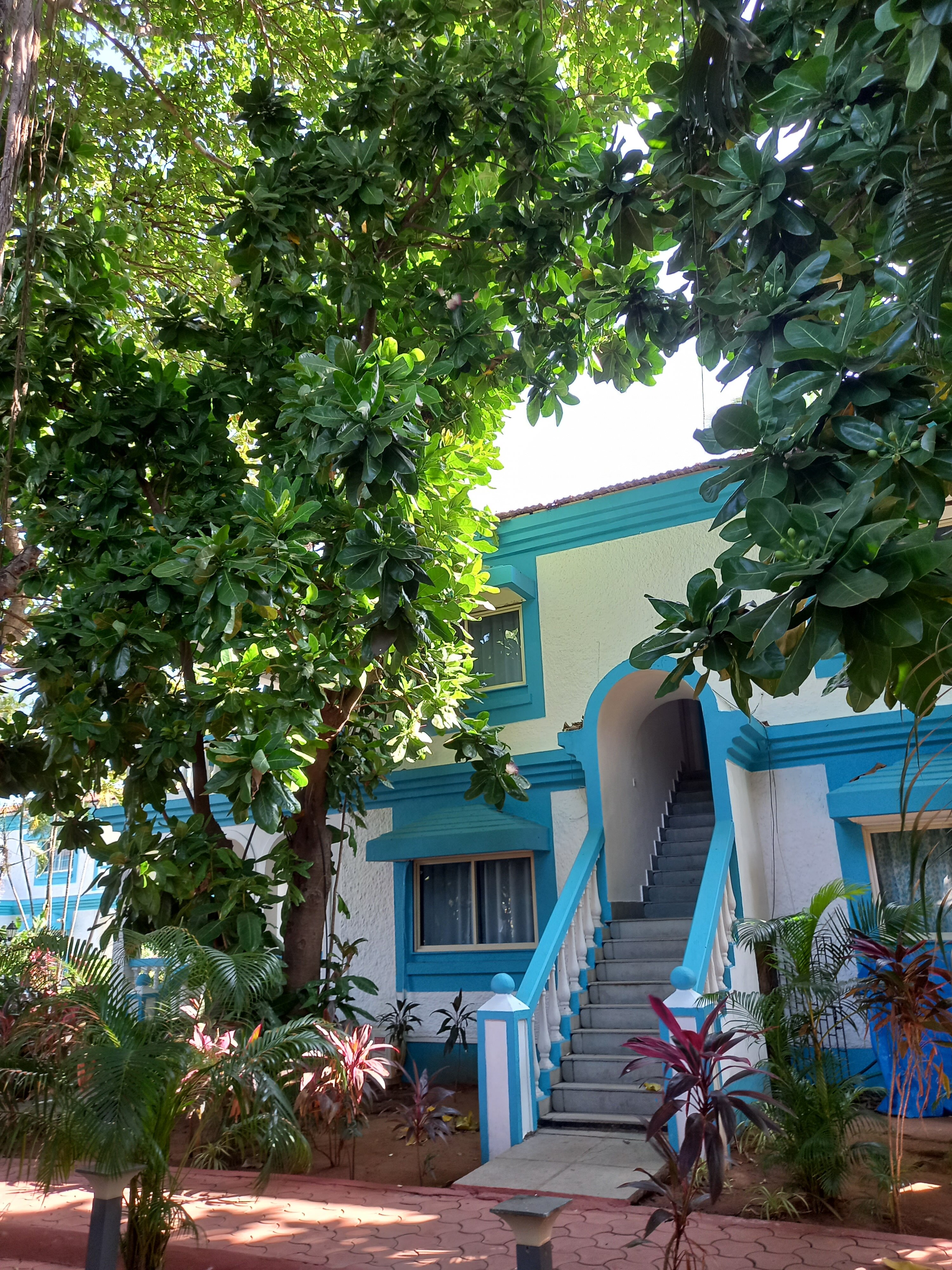 Фото Paradise Village Beach Resort