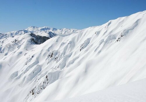 Гостиница Guesthouse Ant Hut в Префектуре Гифу