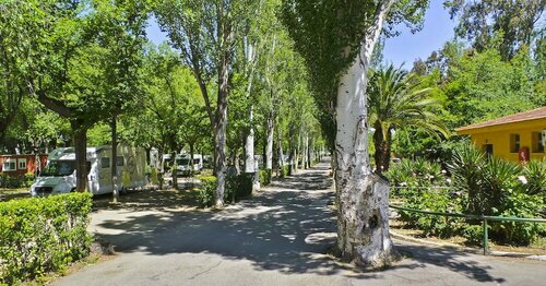Гостиница Bungalows Camping Alpha Madrid в Хетафе