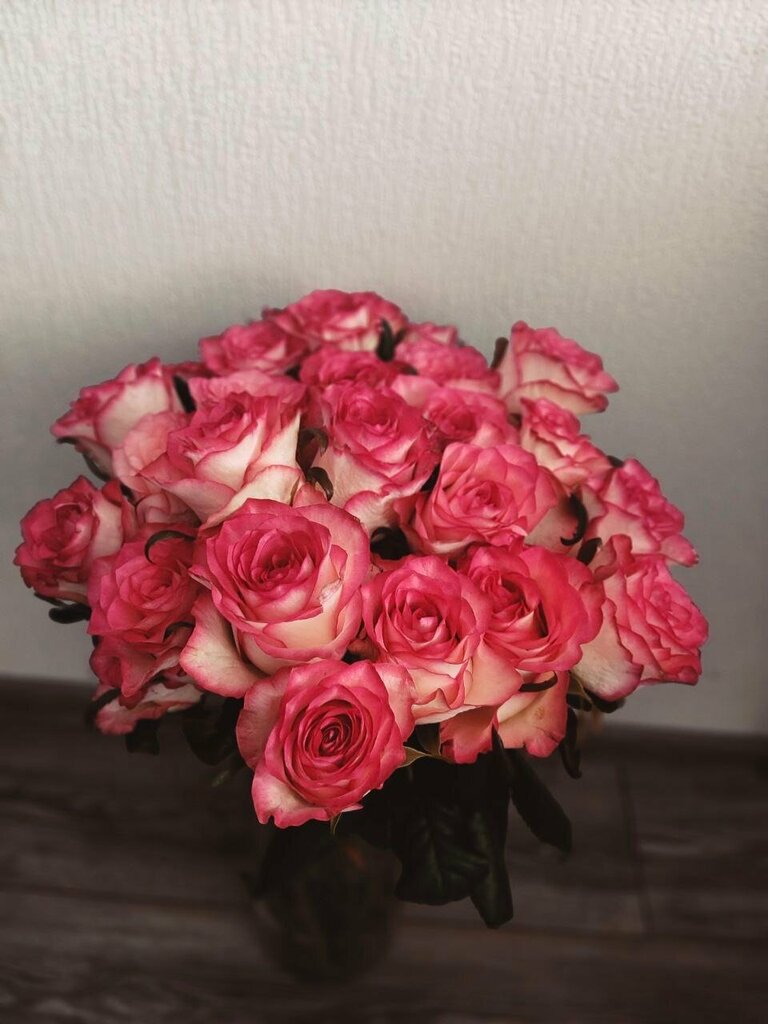 Олеся Берсенеёва