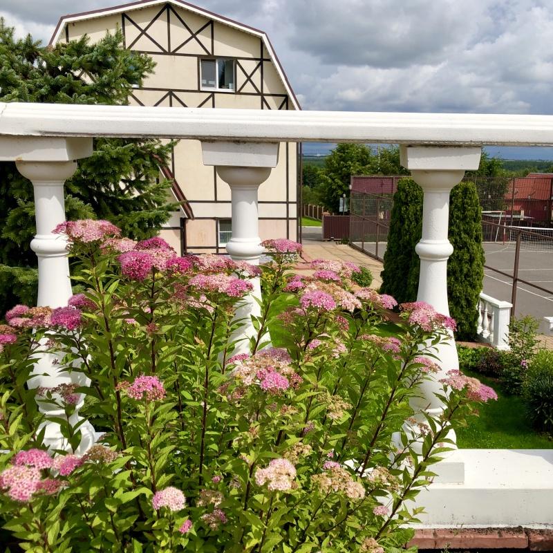 Фото Ю Питер