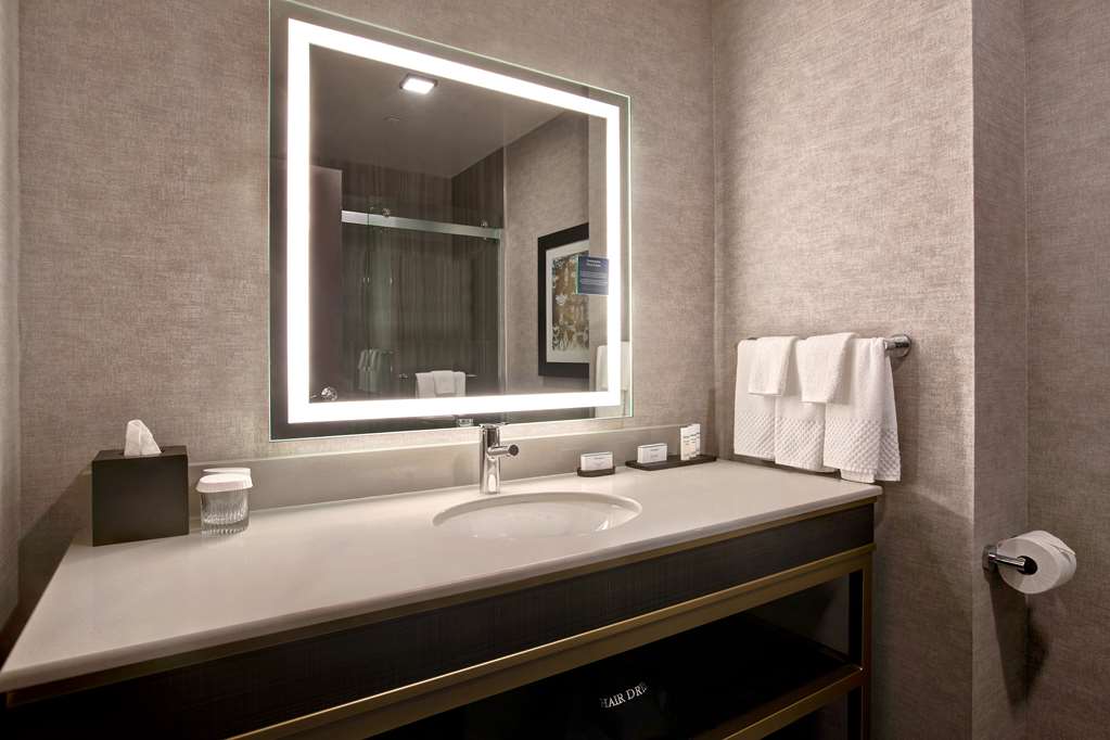Фото Embassy Suites by Hilton Rockford Riverfront