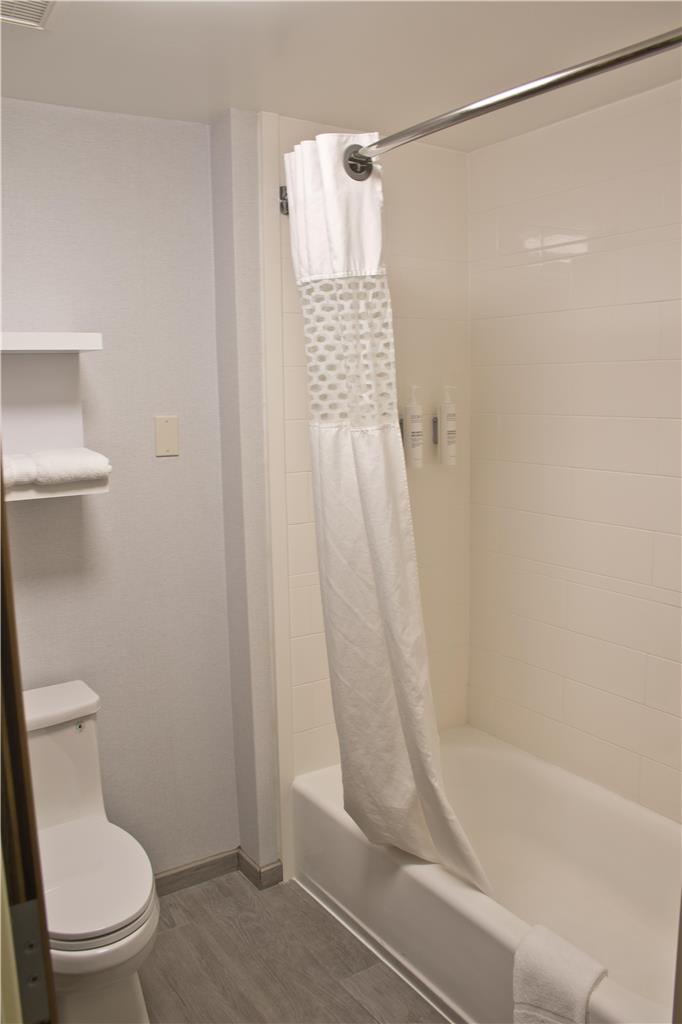 Фото Hampton Inn & Suites Denver-Speer Boulevard