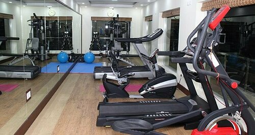 Гостиница Hotel Harrison Palace в Непале